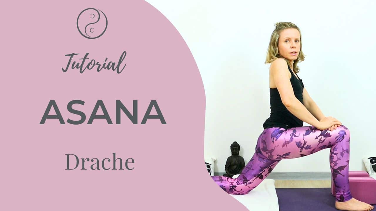 Yin Yoga Tutorial Drache