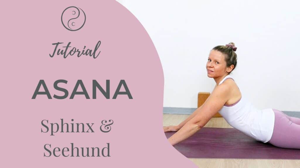 Asana Tutorial: Sphinx & Seehund