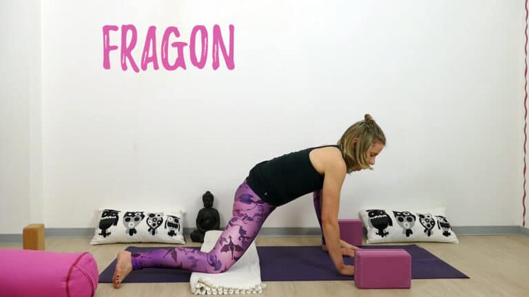 Yin Yoga Drache: Fragon