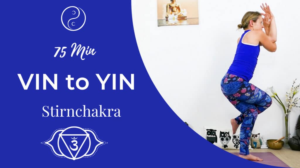 Vinyasa Flow meets Yin Yoga Stirnchakra – Ajna