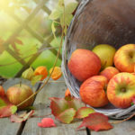 Jahreskreisfest Mabon: Herbst-Tag-und-Nacht-Gleiche