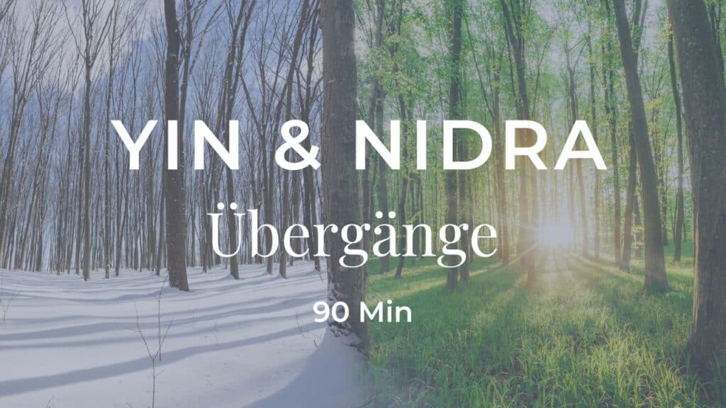 Yin Yoga & Yoga Nidra für Übergänge