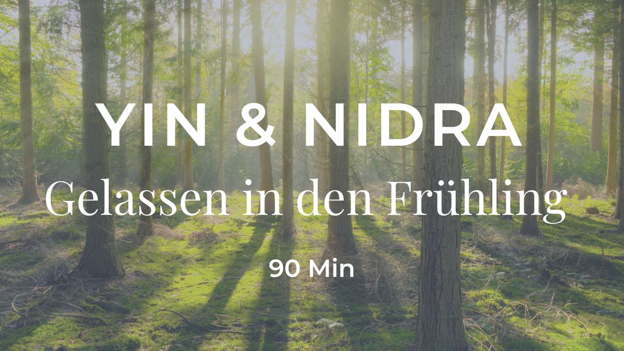 Yin Yoga und Yoga Nidra für das Element Holz – Gelassen in den Frühling