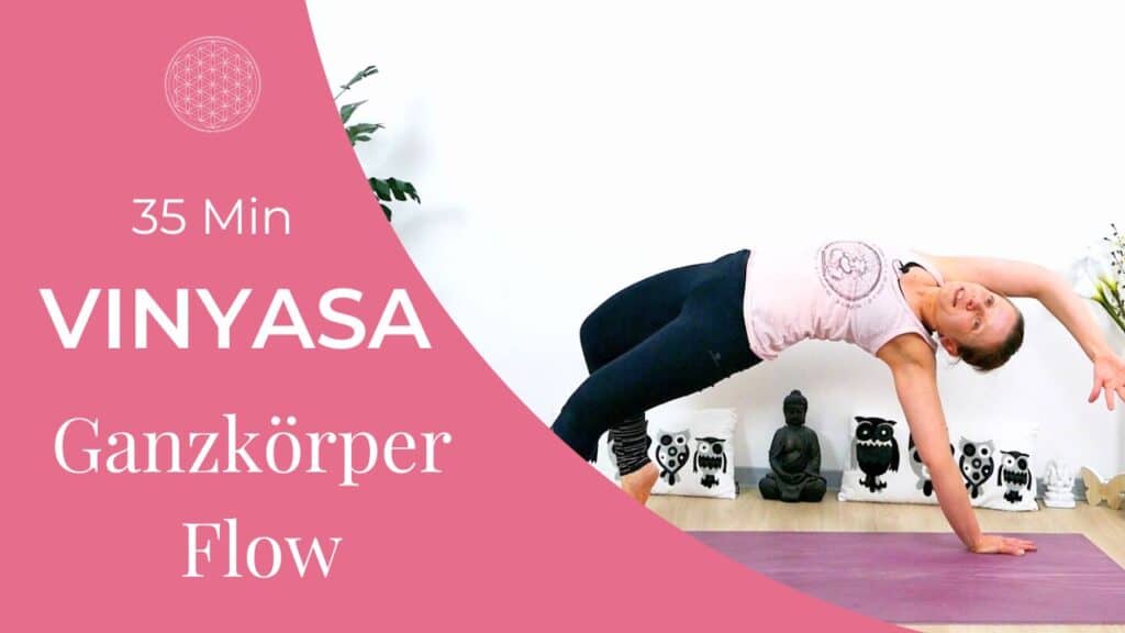 Ganzkörper Vinyasa Flow