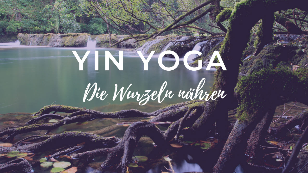Yin Yoga: die Wurzeln nähren