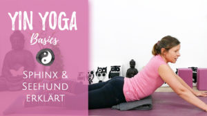 Yin Yoga: Sphinx & Seehund