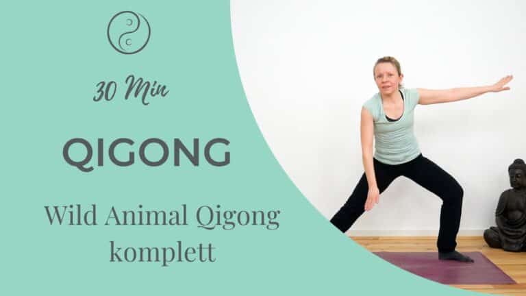 Wild Animal Qigong (easy)