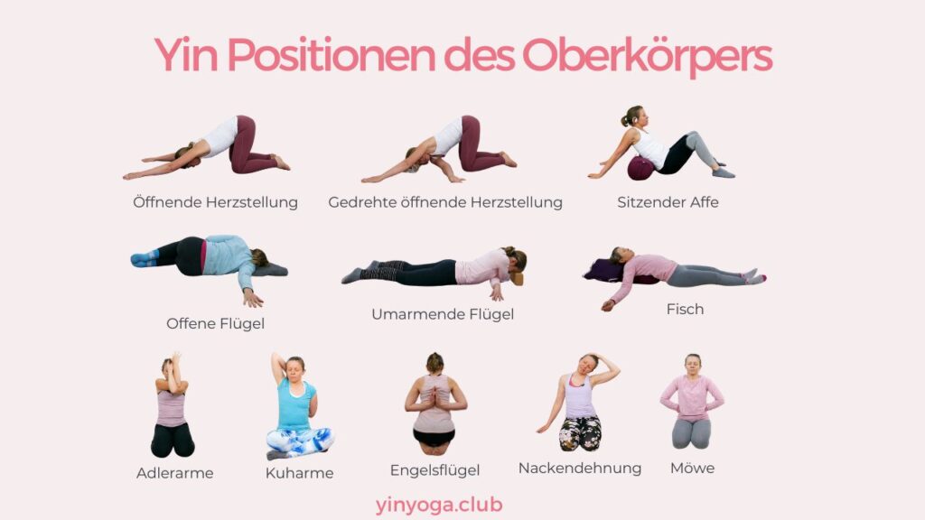 Workshop: Yin Yoga Positionen Oberkörper