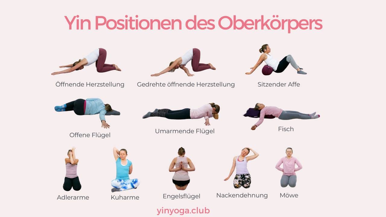 Yin Yoga Positionen Des Oberkörpers Workshop 