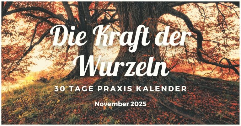 November 2025: Die Kraft der Wurzeln