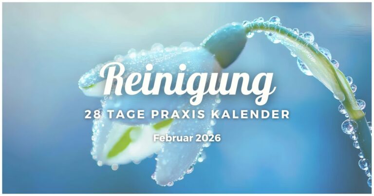 Kalender Februar 2026: Reinigung